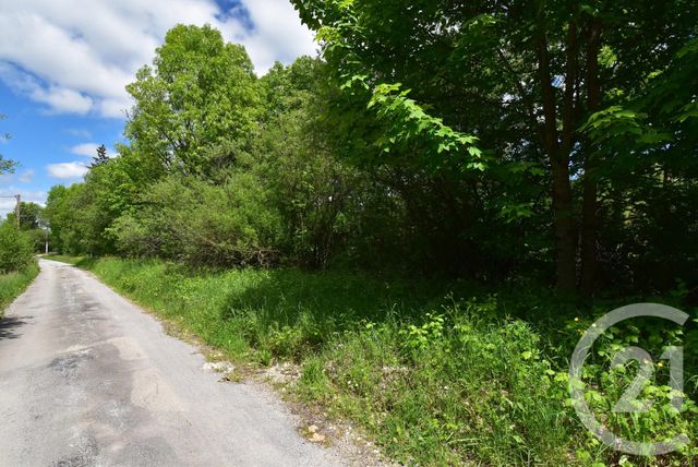 Appartement T4 à vendre - 5 pièces - 104.78 m2 - GRAND COMBE CHATELEU - 25 - FRANCHE-COMTE - Century 21 Avenir Immobilier