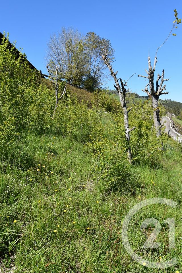 terrain à vendre - 600.0 m2 - MORTEAU - 25 - FRANCHE-COMTE - Century 21 Pg Immobilier terrain à vendre - 600.0 m2 - MORTEAU - 25 - FRANCHE-COMTE - Century 21 Pg Immobilier